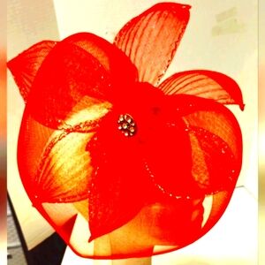 ``RH25096 Red Mesh Fascinator with Bling